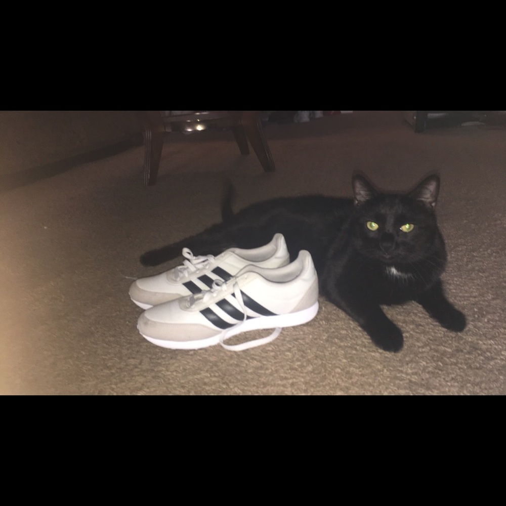 adidas shoes